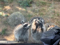 -大连森林动物园