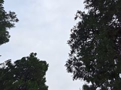 -邙山陵墓群