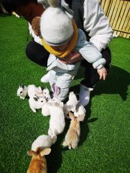 -萌宠亲子动物乐园(槐房万达店)