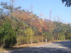 iphone_upload_pic-横山寺