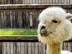 -安立路(地铁站)