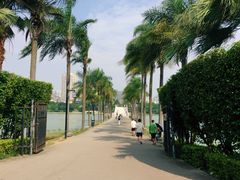 -南宁南湖公园
