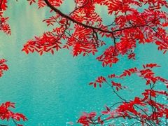 -叠溪松坪沟景区