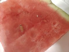 -沈阳市八家子水果批发市场