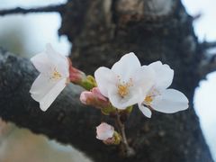 -澎湖湾农家菜(八一路楚天府店)