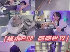 -极木²邸 人与宠物·互动社区