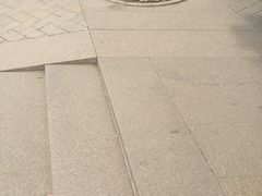 -亭林园-华藏寺