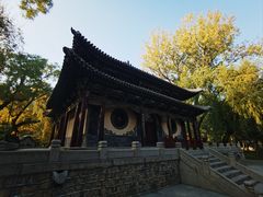 -晋祠公园