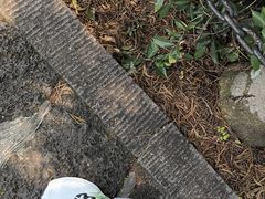 -海口火山口国家地质公园