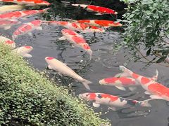 -罗红摄影艺术馆