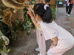 -威海华夏城景区