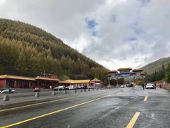 -塞罕坝国家级自然保护区