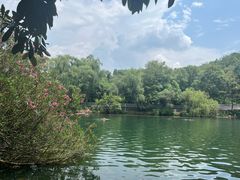 -贵阳市花溪国家城市湿地公园