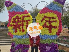 -松山湖梦幻百花洲