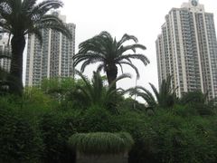 -苏州河梦清园环保主题公园