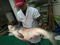 -王小厨私房菜(司徒庙路店)