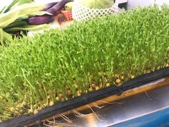 -渔中舟海鲜大排档(普陀沈家门店)