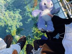 -玉苍山国家森林公园