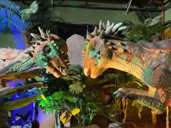 -恐龙探索乐园(磁器口店)