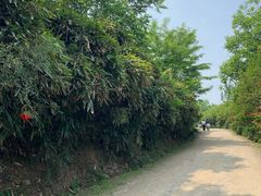 -盛世牡丹苑生态文化旅游区