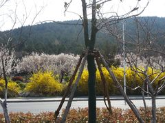 -云龙山