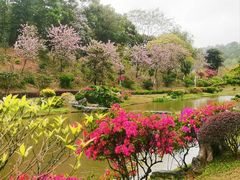-东莞植物园