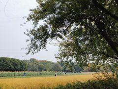 -八卦田遗址公园
