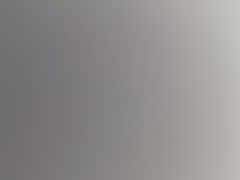 -海豚之星游泳俱乐部(喜来登馆)