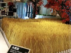 -武汉光谷K11