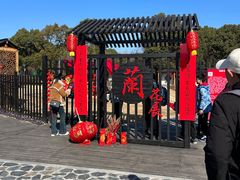 -香雪海