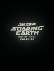 -飞览天下沉浸式飞行体验(北京旗舰店)