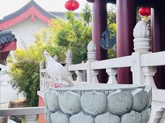 -三亚南山文化旅游区