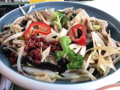 新疆椒麻鸡-董小西的凉皮和椒麻鸡(三元桥店)