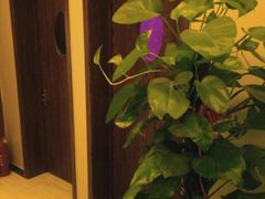 -汐悦汇足疗·星级·订制·唤醒SPA(西客站)