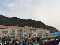 -大鹿岛