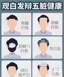-希梵尔头皮抗衰·科技养发