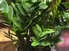 -黔蘑菇四季餐厅(观山湖店)