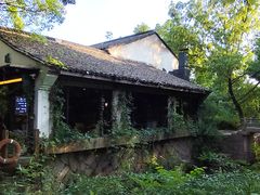 -西溪国家湿地公园