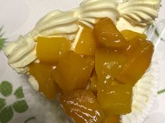 -卡滋贝诺动物奶油生日蛋糕(亚太潮尚店)