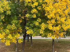 -武清南湖绿博园