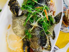清蒸老虎斑-明记海鲜美食老字号(明记总店)