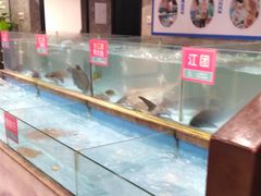 水产区-饭怕鱼(阳光100店)