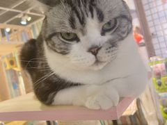 -小时光咖啡馆(开森度假森林店)
