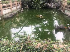 -华林禅寺