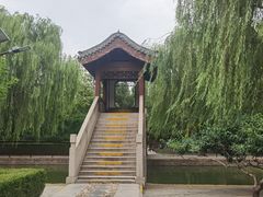 -团结湖公园