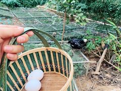 -古田会议纪念馆