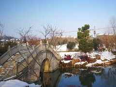 -镇江市南山风景名胜区竹林景区