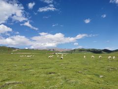 -祁连山草原