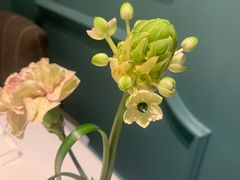 -领仕扒房(长春店)