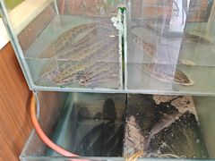 -鱼众不同·鸡公煲·烤全鱼(国顺路店)